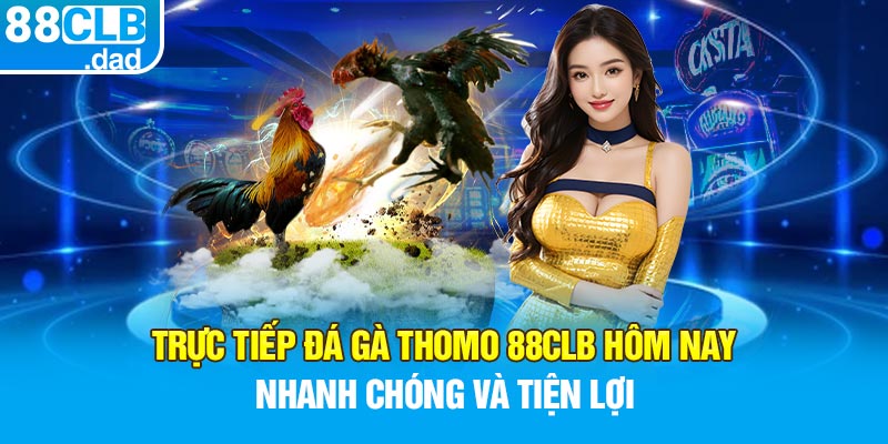 Trực Tiếp Đá Gà Thomo 88clb Hôm Nay - Nhanh Chóng Và Tiện Lợi