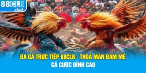 Đá Gà Trực Tiếp 88clb - Thoả Mãn Đam Mê Cá Cược Đỉnh Cao